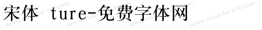 宋体 ture字体转换